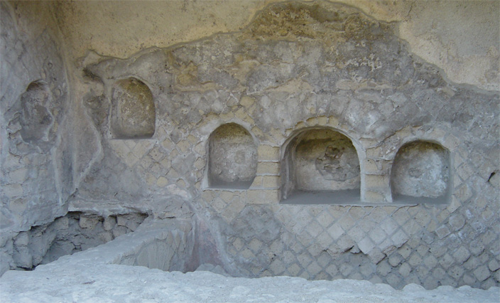 nevito1